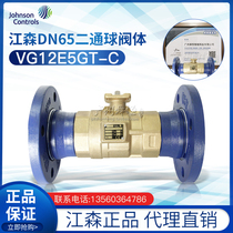 United States Johnson Johnson Controls DN65 ball valve body VG12E5GT-C proportional integral ball valve body