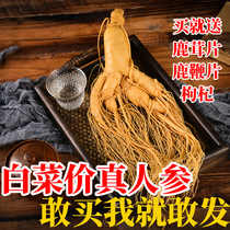 Changbai Mountain Fresh ginseng whole large ginseng 500g Northeast Jilin fresh-keeping wild ginseng soak wine soup