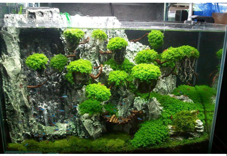 悬浮石鱼缸造景阿凡达场景装饰景观石水草缸布景材料三块包邮