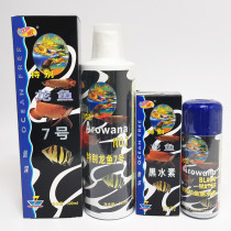 Thousands Lake Proud Special Dragon Fish 7 Black Water Vegetarian Softening Water Quality Stable Seven Colorful Egyptian Fairy Tropical Ornamental Fish