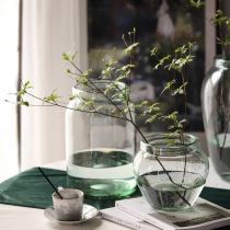 ins Net red glass vase blue transparent raindrops bubble living room table flower arrangement hydroponic home soft decoration