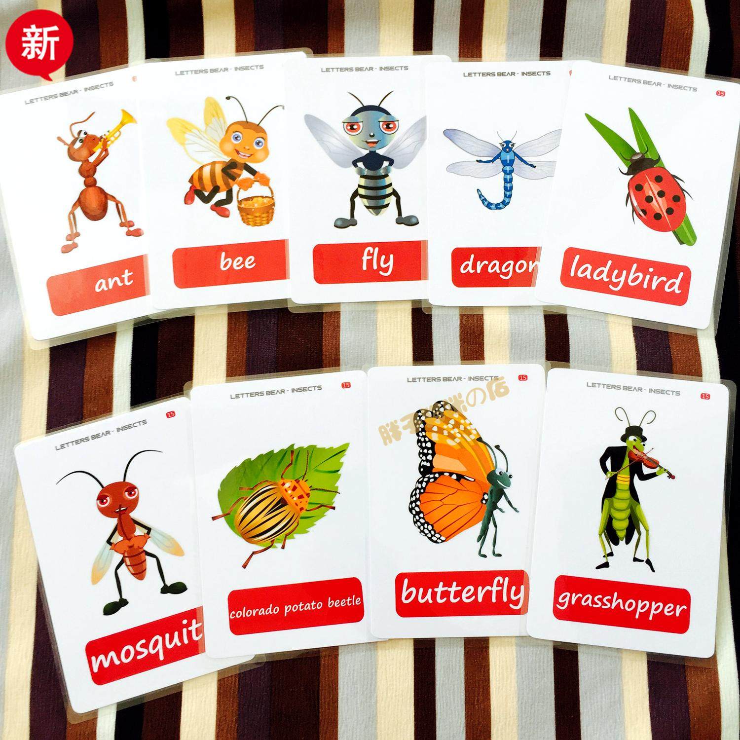 insects 英语昆虫单词大卡片闪卡宝宝早教启蒙幼儿园英文教师教具