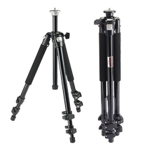 Wittley 02T SLR camera tripod Outdoor tripod Micro single aluminum alloy professional bracket Flip frame
