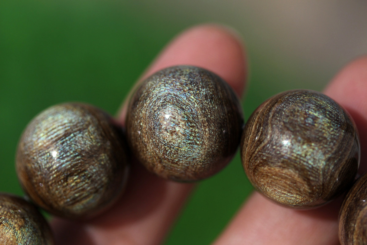 深水金珊瑚手串