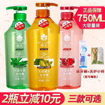 Bee flower without silicone oil shampoo 750ml ginger hair nourishing shampoo cream to stop itching to control the female male