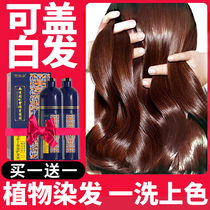 My own hair dye is popular with color temperature and does not stimulate the white hair stamping Nanjing colleague foam dye