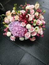 Housewarming opening opening sending flowers birthday wishes flowers portable mixed and mixed flower baskets visit visit visit visit visit visit visit visit visit visit