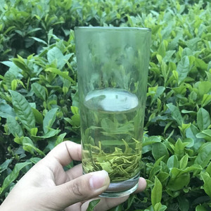 新茶绿茶恩施富硒茶口粮茶250g