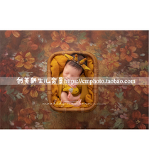 Newborn flower soft glue oil painting background foldable full moon background cloth water proof soft glue background CM-4804