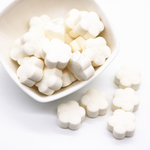 Pet AD Calcium tablets rabbit guinea pig hamster ChinChin milk calcium supplement 10 capsules