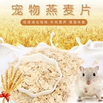 Rabbit hamster Dutch pig natural Pure oatmeal 100G protein supplement buy 3 get 1