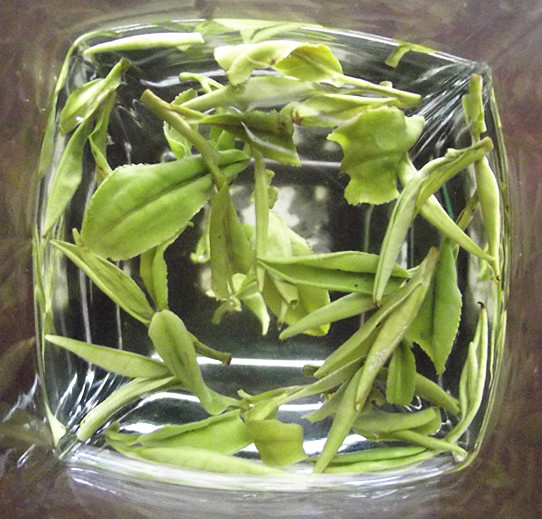 茶农自销霍山黄芽2017新茶特级 黄芽茶叶绿茶500g包邮 送2个铁桶_7折