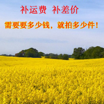 Monthly Music Mother and Child Shop Premium Supplement Shipping Big Customers Unusual Closure Transaction Payment Link