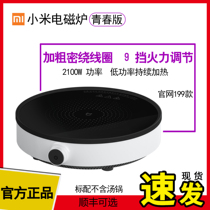 Xiaomi induction cooker Rice home appliance magnetic stove Household mini hot pot soup pot wok Smart youth version all-in-one spot