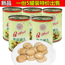 Fujian Longhai specialty Q3 canned mushroom 400g * 5 cans of whole mushroom for sliced pizza