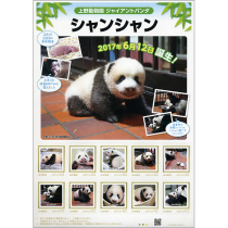 2017 Japan stamps on the birth of giant panda incense in wild zoo