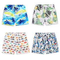 Boys cotton shorts baby baby pants summer middle-sized pants childrens beach shorts cotton thin