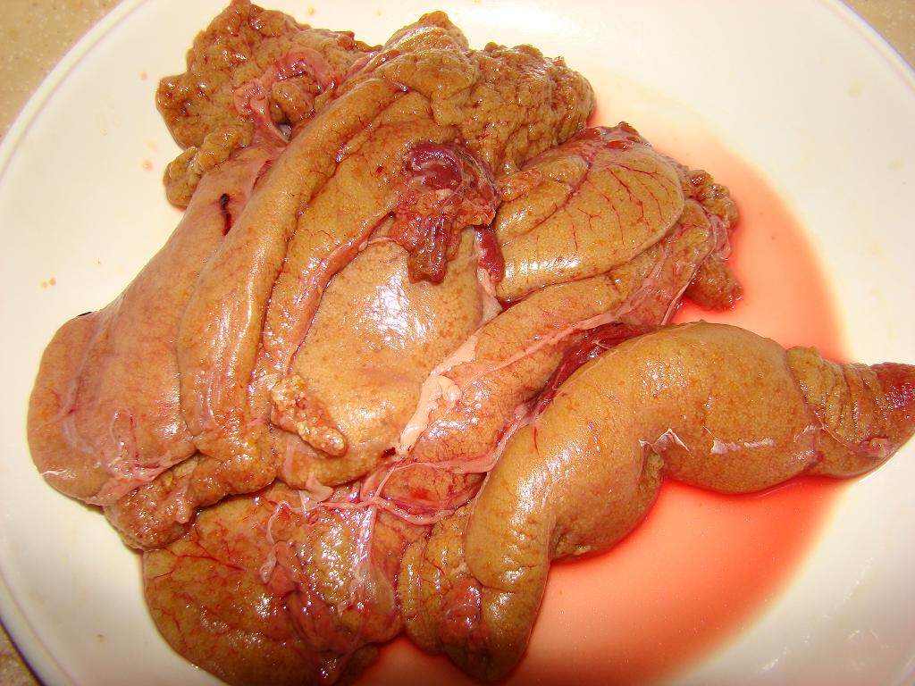 新鲜鱼籽鱼子鱼卵鱼蛋鱼泡鱼油鱼白鱼杂鲤鱼速冻野生鱼籽