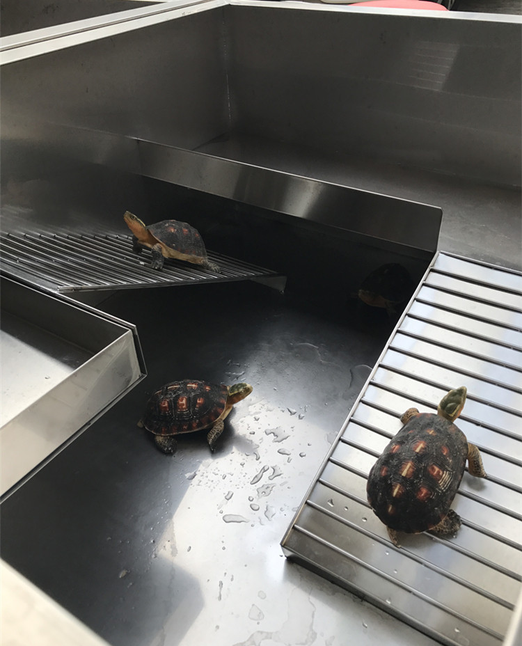 304不锈钢龟箱龟池箱水龟箱养殖箱种龟箱金属南石黄缘龟箱带晒台