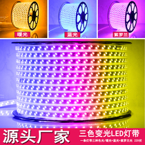 LED three-color dimming light belt 220V household living room chandelier Household bedroom super bright outdoor horse racing colorful light belt