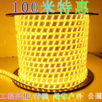Light with led whole roll 100 meters high bright 5730-2835 yellow and white light tower crane site outdoor engineering waterproof breeding