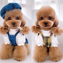 New pet dog clothes tweed plaid suspenders skirt skirt set outside hat set VIP Teddy