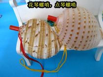 Natural conch shell 1 1 whistle combination Screw childrens toy screw necklace Sea screw whistle