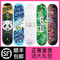 DBH Professional Double rocker Skateboard Panda Blue Elephant Zodiac Autumn Leaves 1985 Summer Green Street skateboard Shop