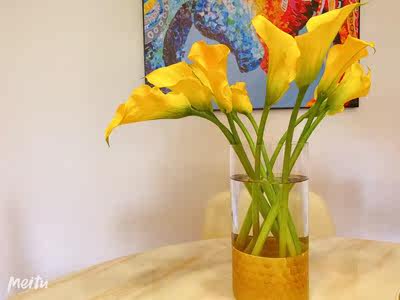 马蹄莲云南鲜花直发基地水养家用生日礼物加办公室花束空运速