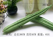Simulation fruit and vegetable model octagonal gourd loofah fake vegetable fruit toy green vegetable photography props