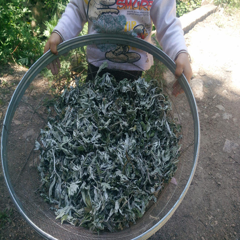 野生艾叶 陈艾草艾叶草 干艾草叶泡脚包泡澡祛湿暖宫艾条艾绒艾柱