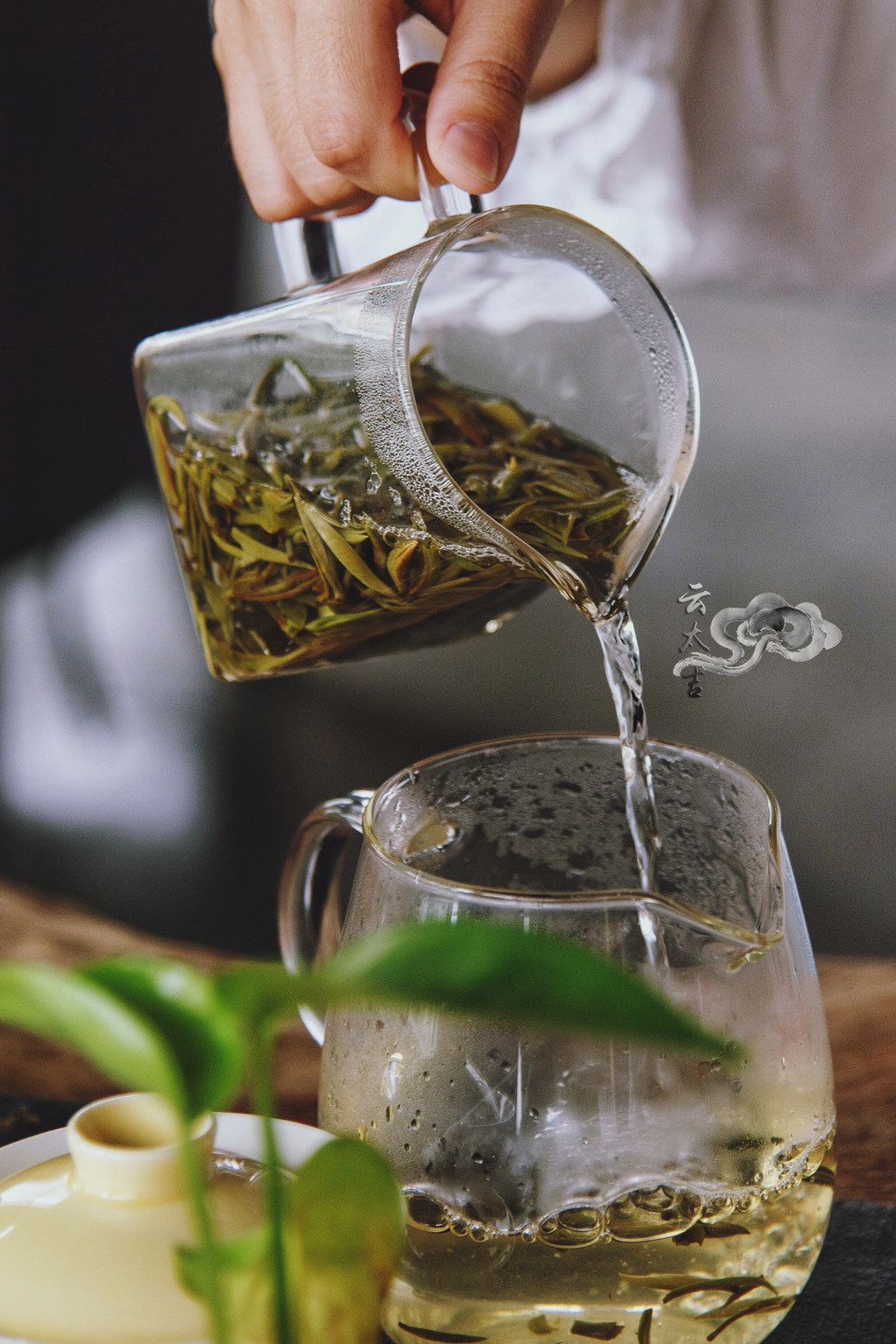 试喝,18元包邮,8种精选店里好卖的茶云太吉茶叶每人限一份