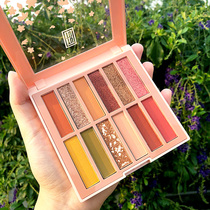 TUTU eye shadow plate Net red ins Super fire beginner girl Department 12 color student model earth color Pearl matte