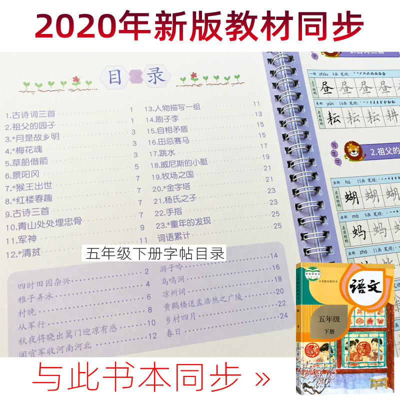 人教版五年级上册下册语文同步凹槽字帖楷书儿童小学生钢笔练字本