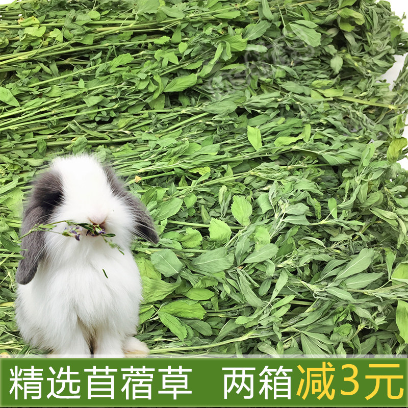 17年烘干紫花苜蓿草兔子龙猫荷兰猪牧草兔粮毛重1000g包邮