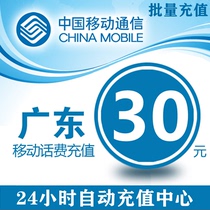 China Guangdong Mobile 30 yuan phone charge prepaid card mobile phone payment phone bill fast charge 30 yuan phone bill batch