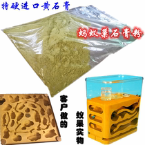 Yellowstone Paste Powder Model Hands-On-Hand Flap Molds Plaster Powder Die Sculpted Gypsum Powder Ant Nest Gypsum Powder