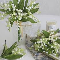 Small Fresh Ins Wind Desktop Background emulation Flower Suzuki Flowers Plastic Fake Flowers Home Bedroom Decoration Photo Props