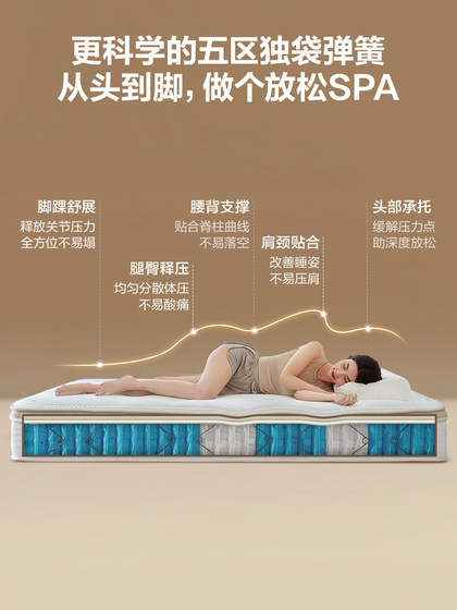 정부 보서 정부 보서