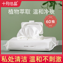 October Crystallized Female Wipes Pregnant Women Postpartum Private Adult Atrium Female Pregnancy Care 60 Cups