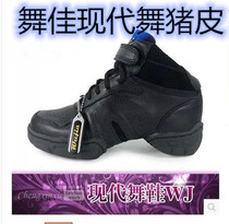 Dance Dancing Shoes Womens Style Ballroom Dancing Shoes Soft Bottom Jazz Shoes Modern Dance Shoes Genuine Leather