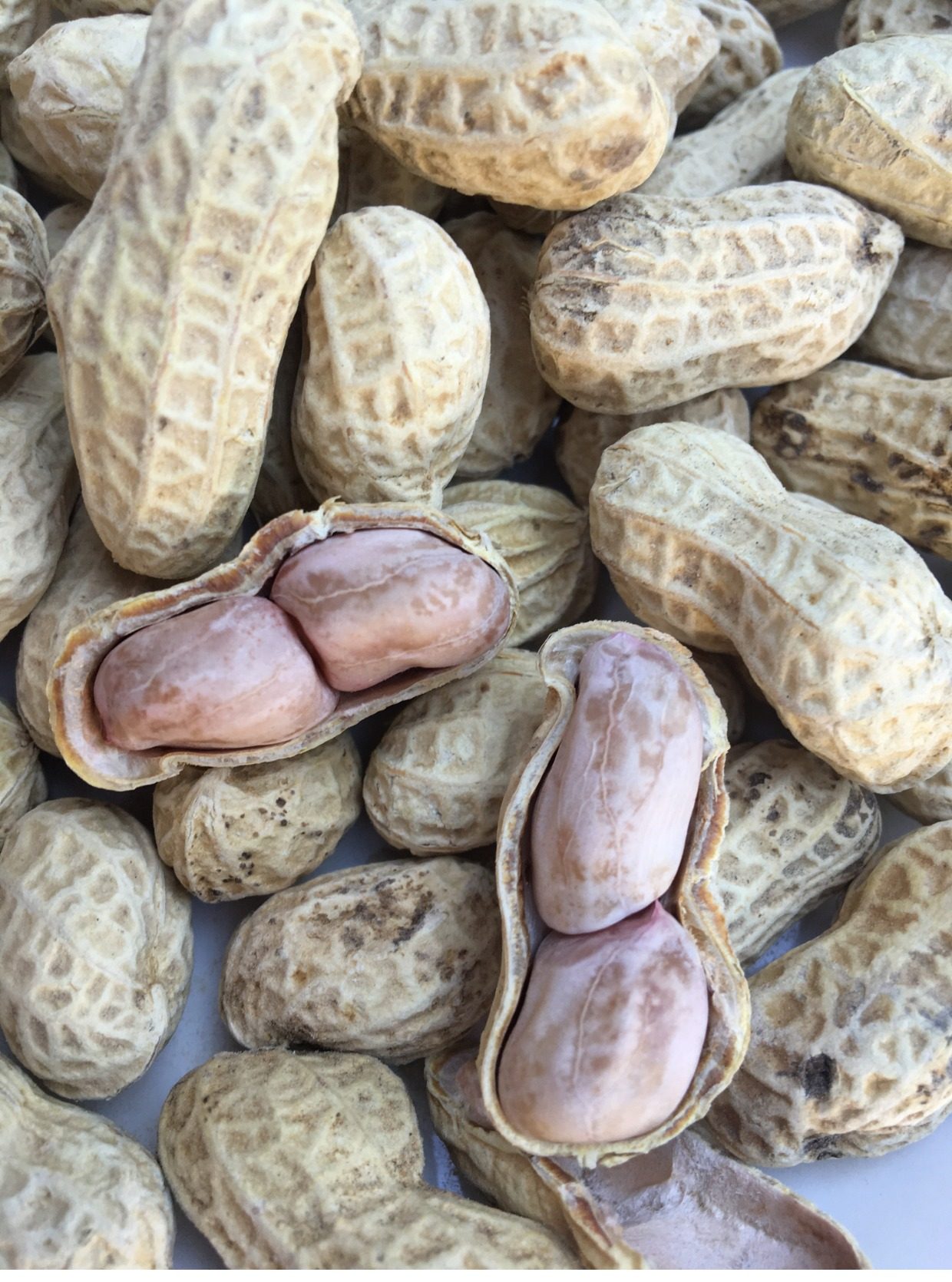 实惠3斤散装新品闽西特产蒜香白晒龙岩水煮咸干花生天然日晒包邮