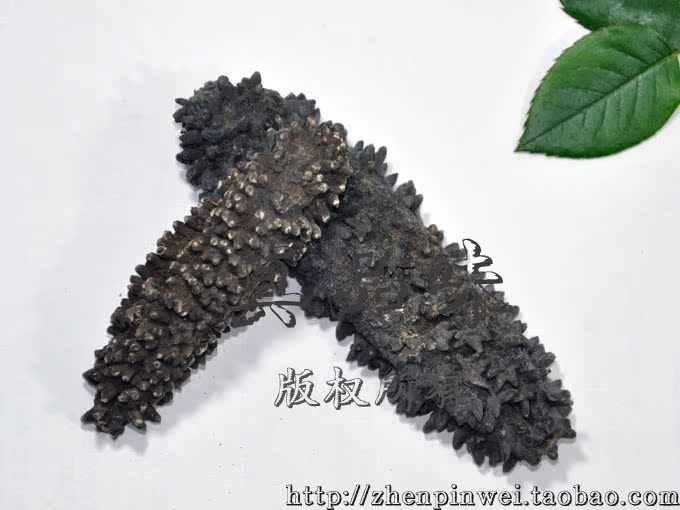 真品味澳洲梅花小刺参参澳洲v梅花深海野生海参淡干海参皮肤海产品米粒长小海参图片