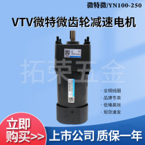 VTV micro micro motor YN100-250W 100JB20G15