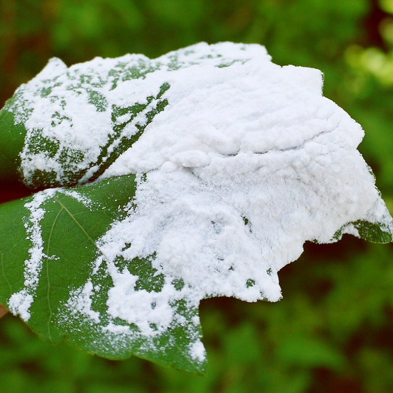 甜葛粉 葛博士野生葛根粉 400g野生老根代餐早餐粉江西正品冲饮粉
