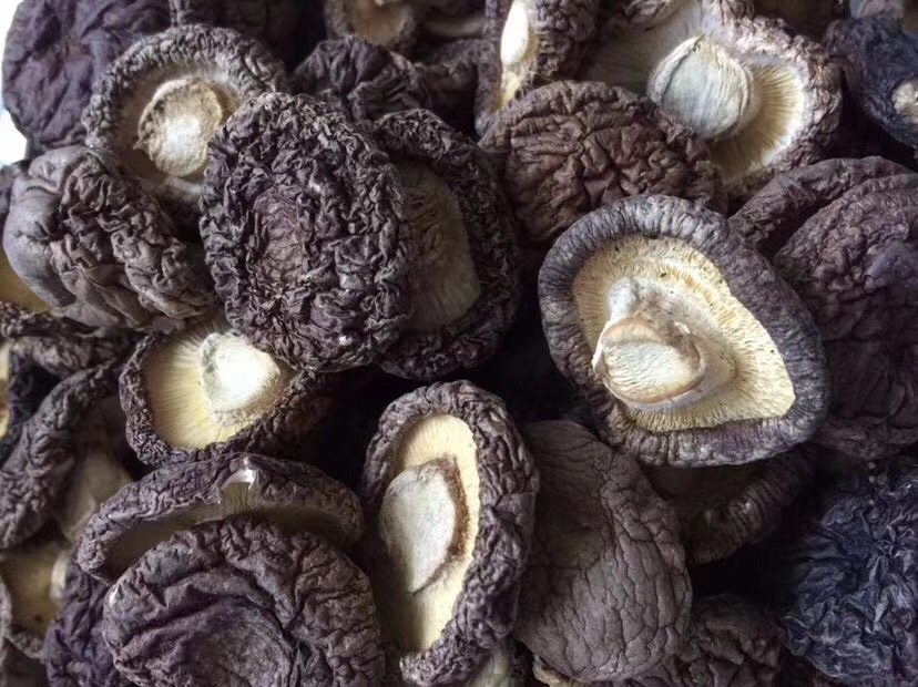 香菇干货黑面香菇金钱菇珍珠菇蘑菇炖鸡花菇优级食用干小香菇500g