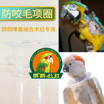 Parrot anti-bite hair collar Parrot anti-self-harm collar Parrot crotch suture special parrot neck cover