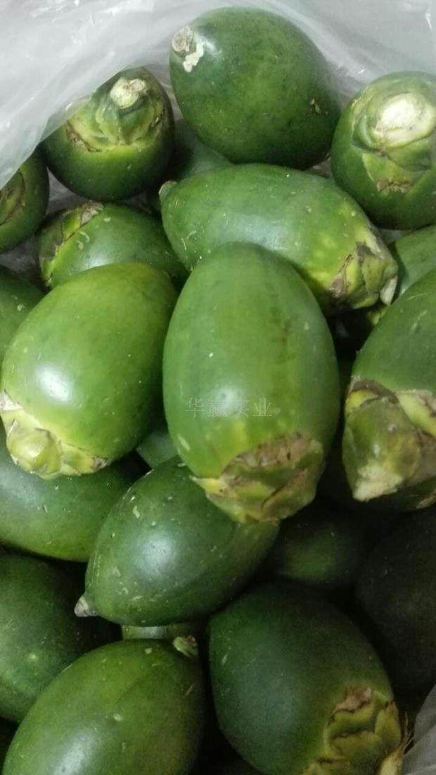 3.5元/个海南特产戒烟提神新鲜青槟榔果散装生槟榔
