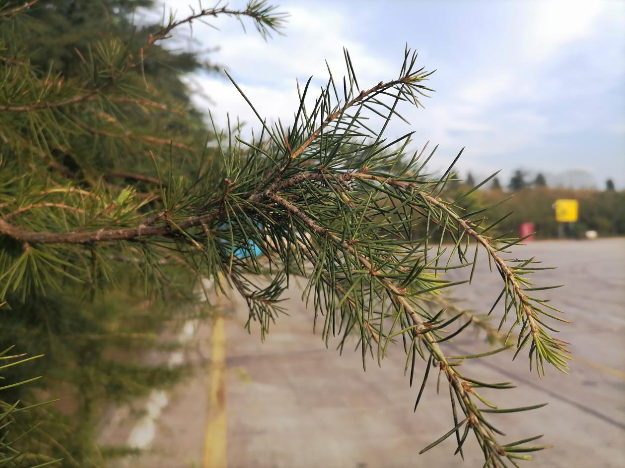 华为畅享10体验:千元堆料王名不虚传