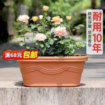 Alice large flower pot wavy flower pot plastic pot flower pot vegetable pot Alice